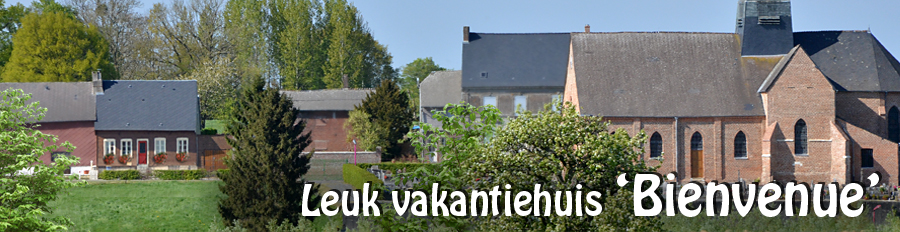 vakantiehuis Bienvenu met dorpsgezicht