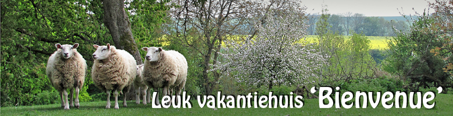vakantiehuis